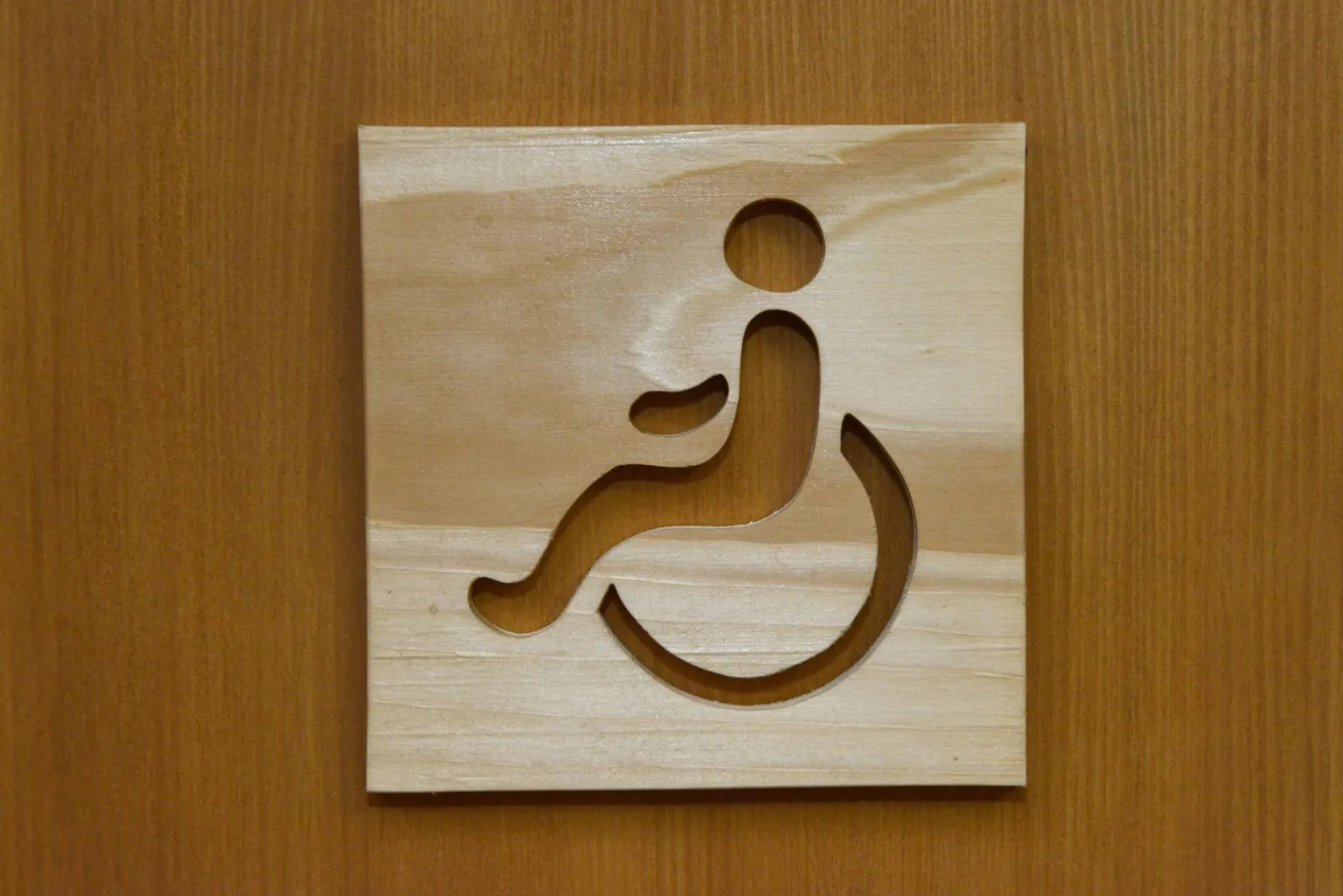 Panneau toilette handicapé
